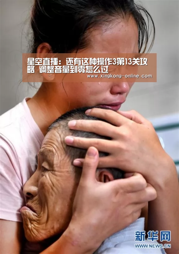 星空直播:还有这种操作3第13关攻略 调整音量到零怎么过(图1) 星空直播