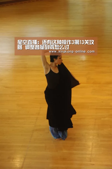 星空直播:还有这种操作3第13关攻略 调整音量到零怎么过(图2) 星空直播
