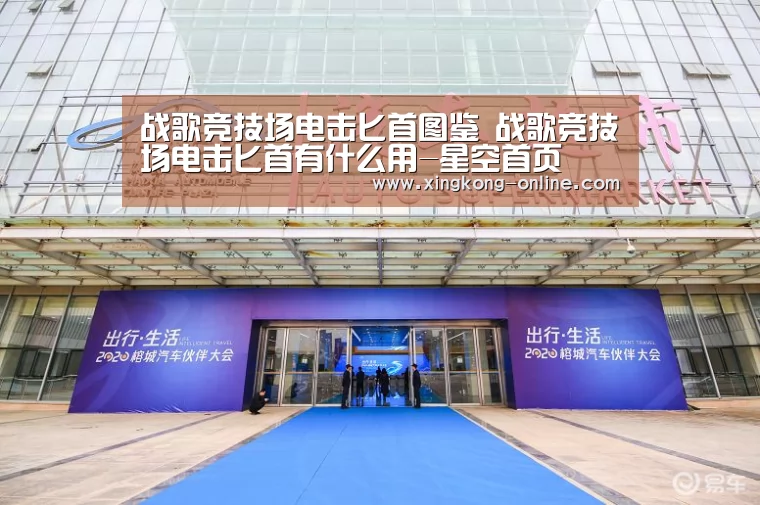 战歌竞技场电击匕首图鉴 战歌竞技场电击匕首有什么用-星空首页(图2) 星空直播
