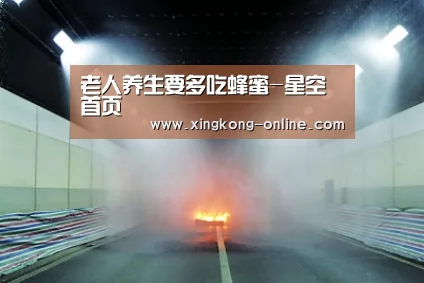 老人养生要多吃蜂蜜-星空首页(图2) 星空首页