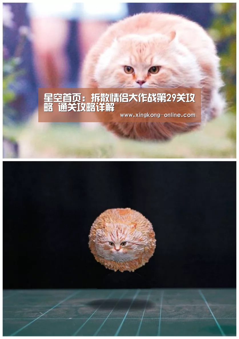 星空赛程