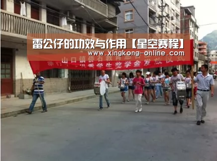 雷公仔的功效与作用【星空赛程】(图1) 星空赛程