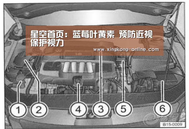 星空首页:蓝莓叶黄素 预防近视保护视力(图1) 星空直播