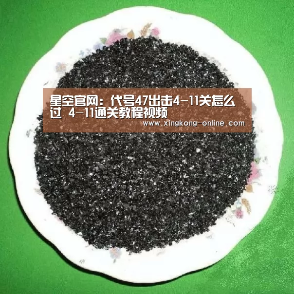 星空官网:代号47出击4-11关怎么过 4-11通关教程视频(图1) 星空首页